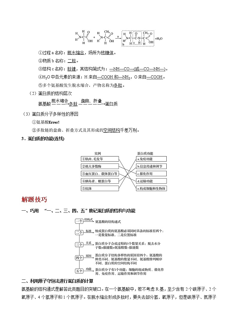 专题03 蛋白质(教师版)第2页