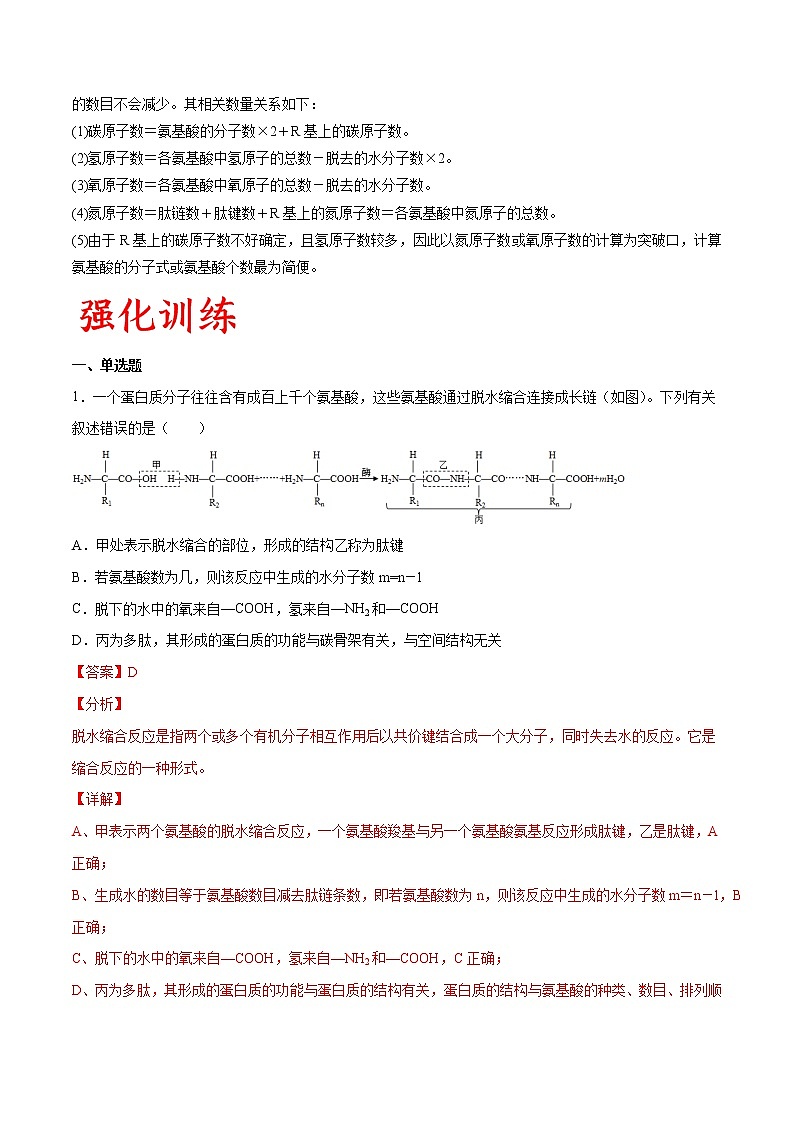 专题03 蛋白质(教师版)第3页