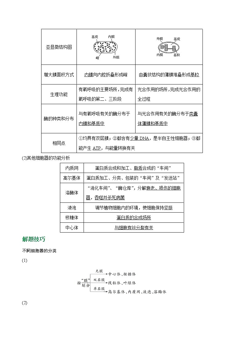 高考生物一轮复习重难点专项 专题06 细胞器和生物膜系统02