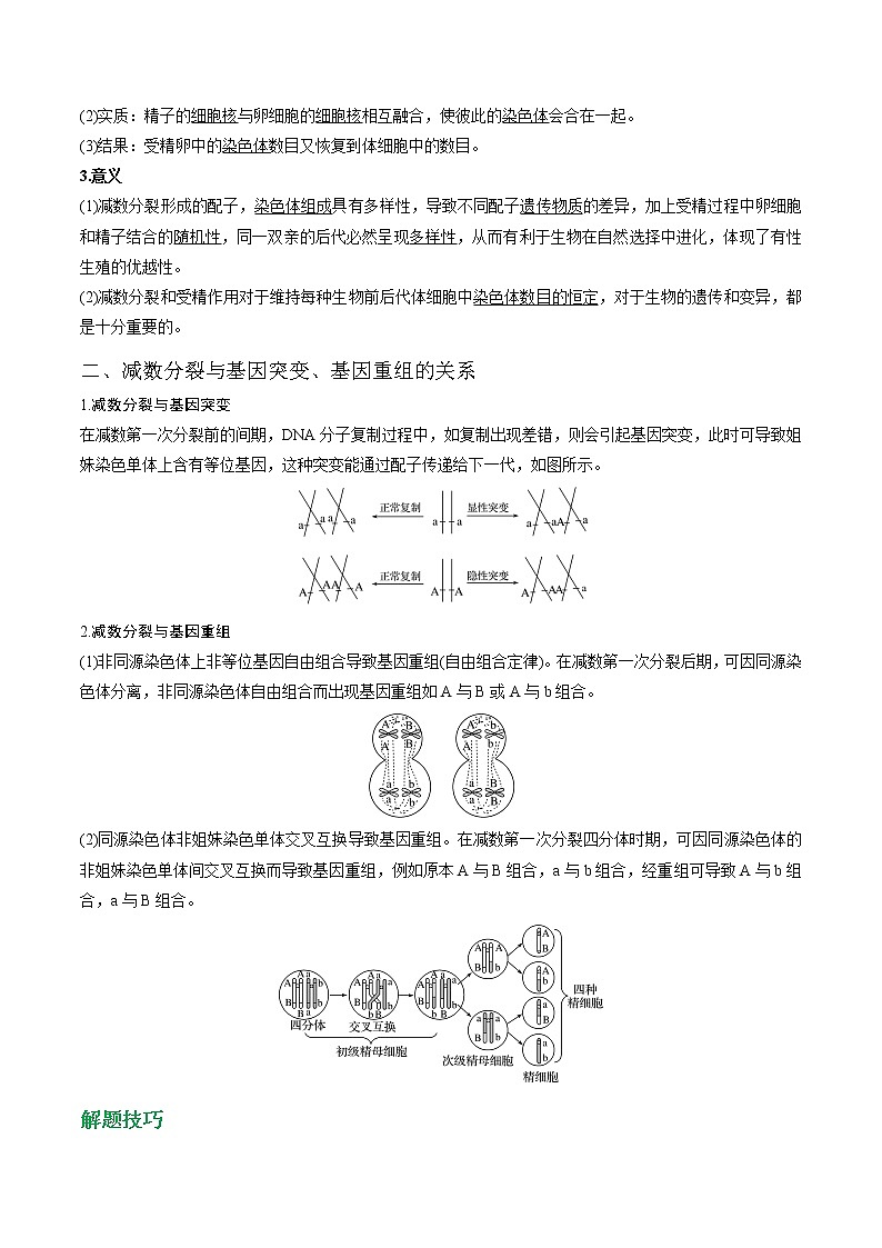 专题15 减数分裂和受精作用(教师版)第3页