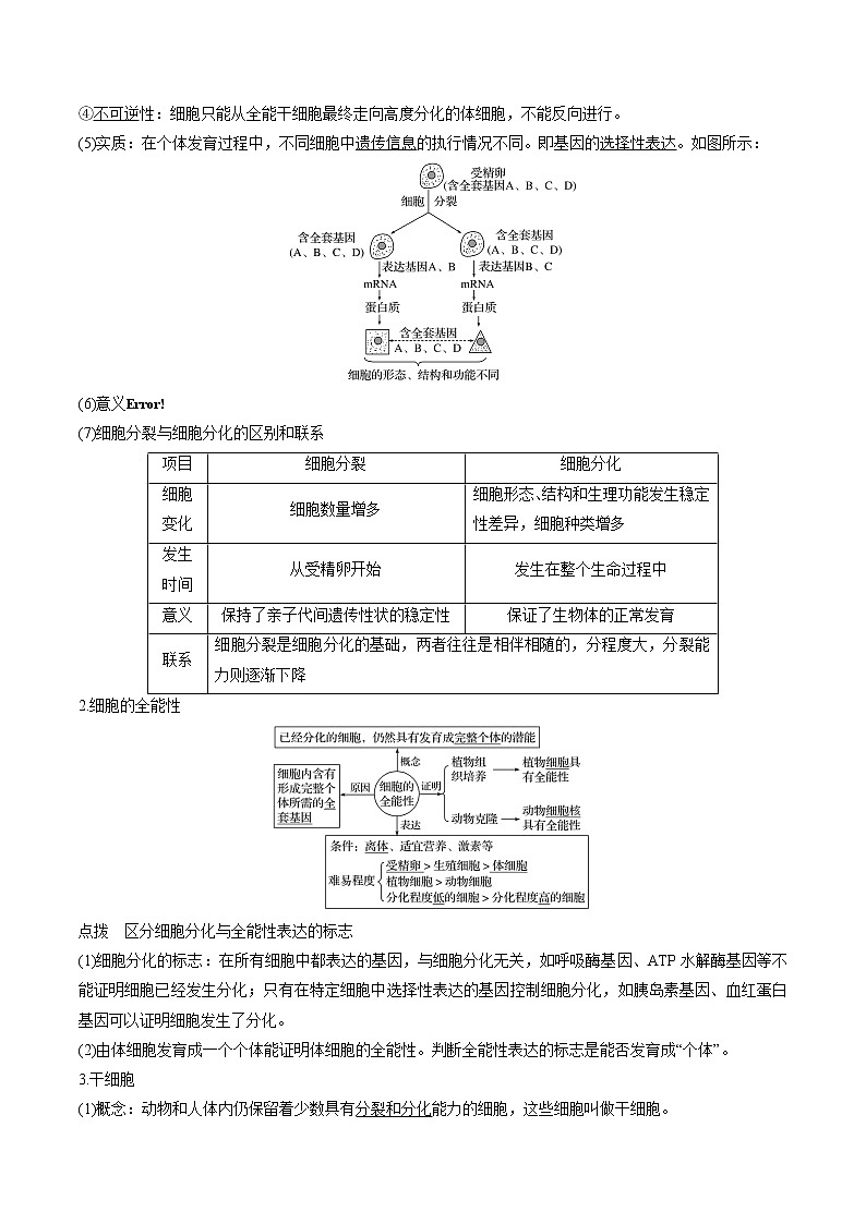 高考生物一轮复习重难点专项 专题14 细胞的分化、衰老、凋亡与癌变02