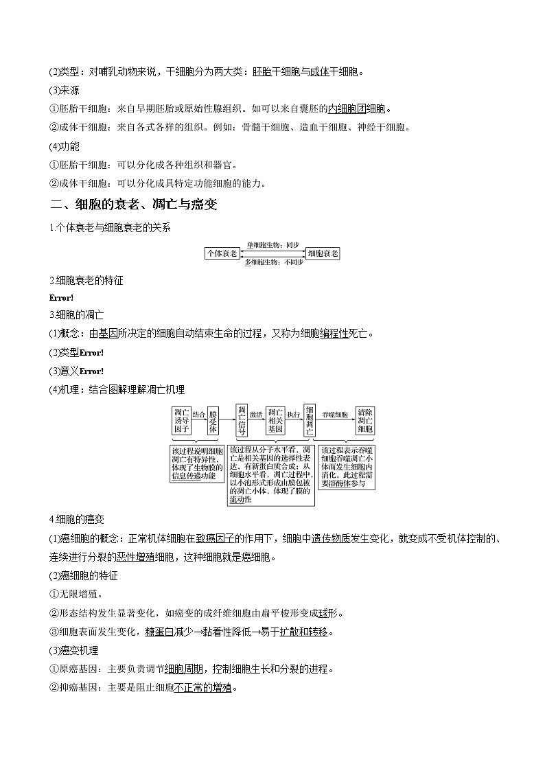 高考生物一轮复习重难点专项 专题14 细胞的分化、衰老、凋亡与癌变03