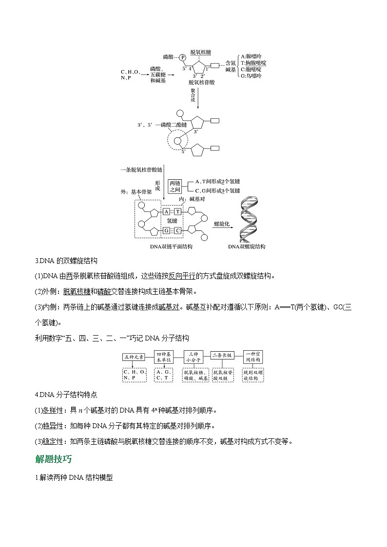 高考生物一轮复习重难点专项 专题18 DNA分子的结构和复制02