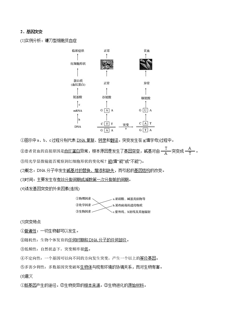 高考生物一轮复习重难点专项 专题28 基因突变和基因重组02