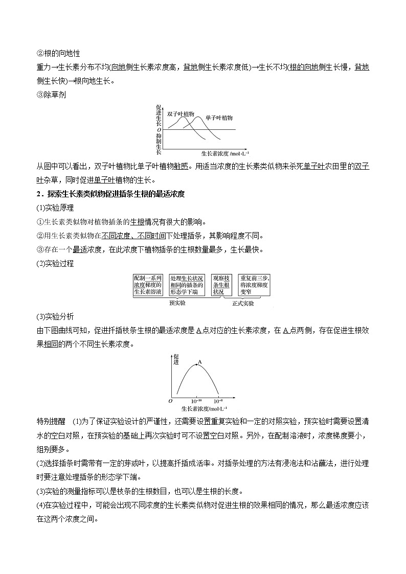 专题43 生长素的生理作用及其探究实验(学生版)第2页