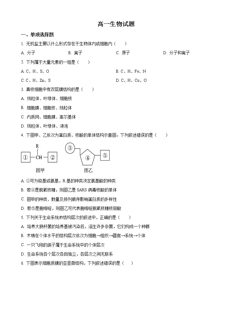 吉林省白城市洮南市一中2022-2023学年高一上学期期末生物试题(原卷版)第1页