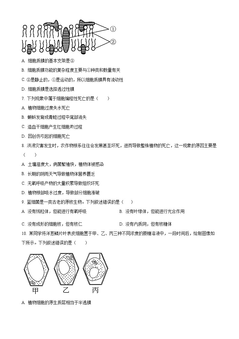 吉林省白城市洮南市一中2022-2023学年高一上学期期末生物试题(原卷版)第2页