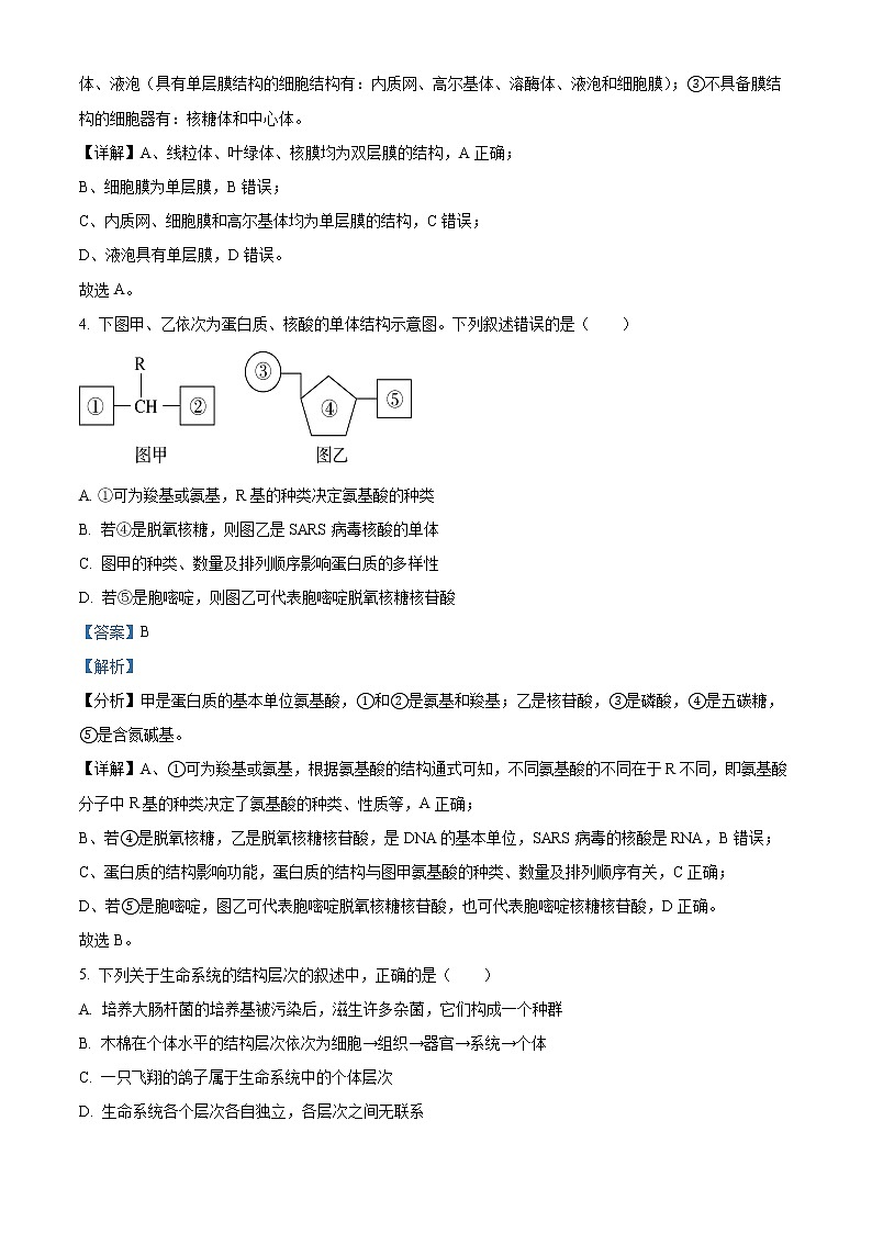 吉林省白城市洮南市一中2022-2023学年高一上学期期末生物试题含解析第2页