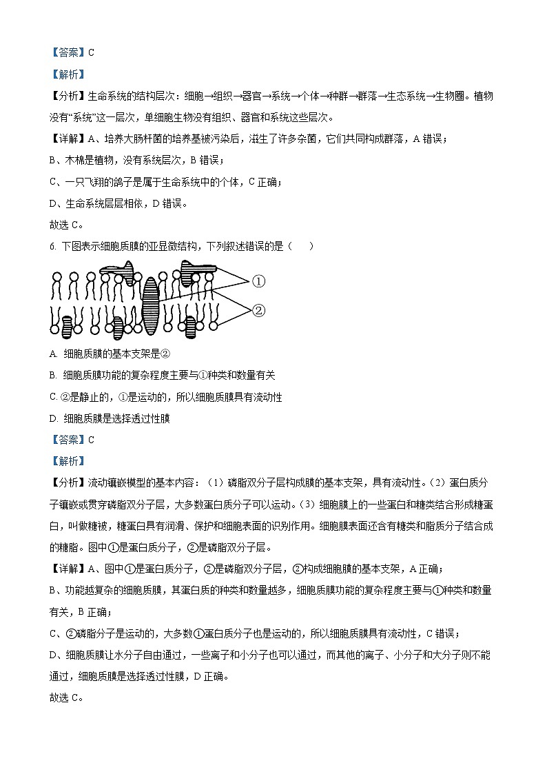 吉林省白城市洮南市一中2022-2023学年高一上学期期末生物试题含解析第3页