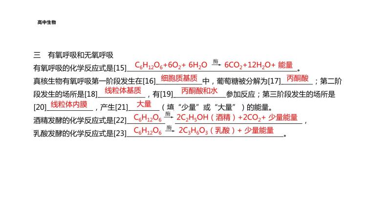 配套新教材-高中生物学-RJ-必修1第5章- 第3节课件PPT05