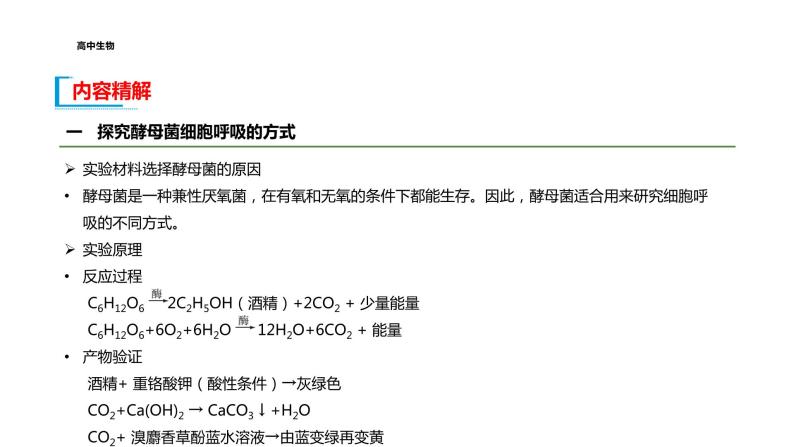 配套新教材-高中生物学-RJ-必修1第5章- 第3节课件PPT08