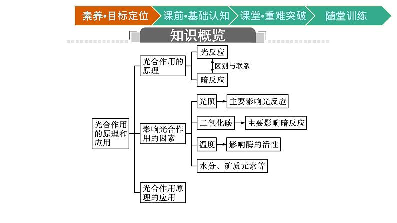第4节 光合作用与能量转化 第2课时 光合作用的原理和应用课件PPT第3页