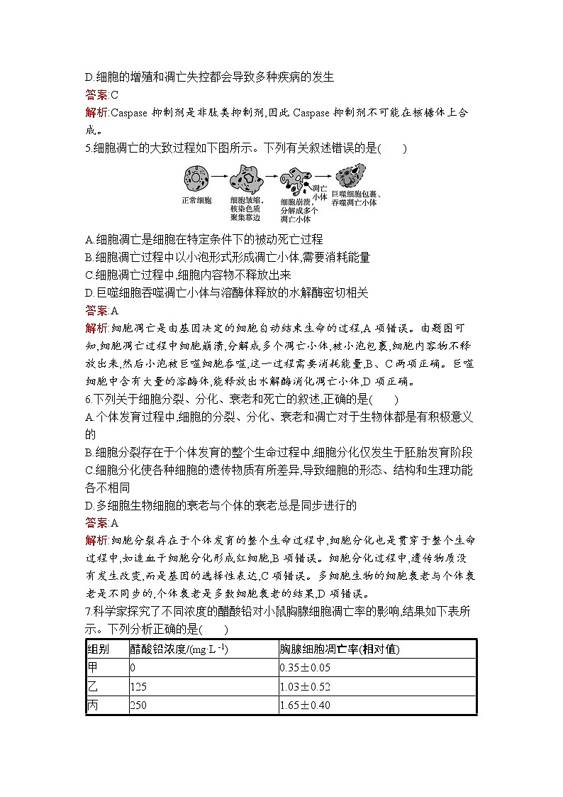第6章 第3节 细胞的衰老和死亡 试卷02