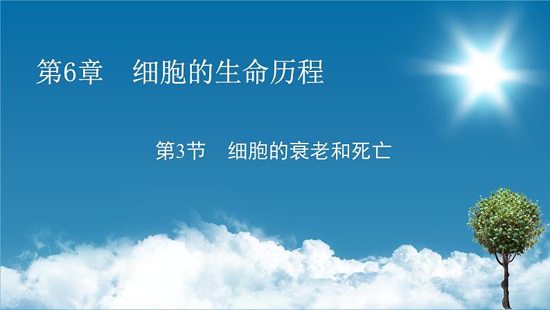 第6章 3同步课件第1页