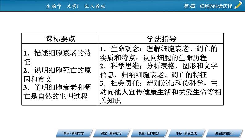第6章 3同步课件第2页