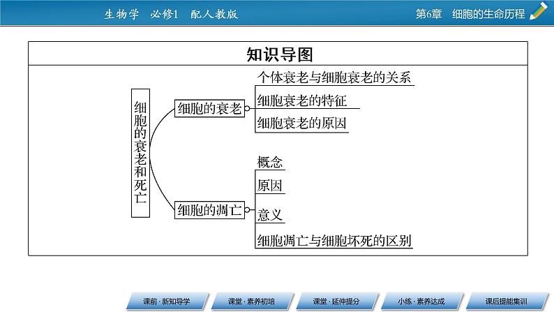 第6章 3同步课件第3页