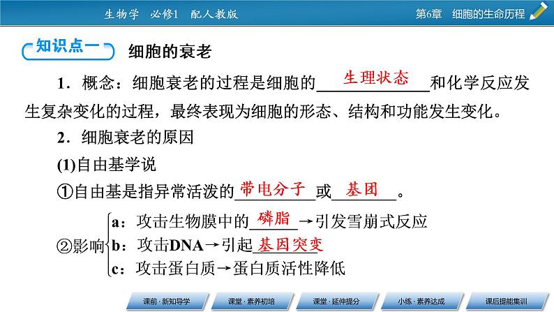 第6章 3同步课件第5页