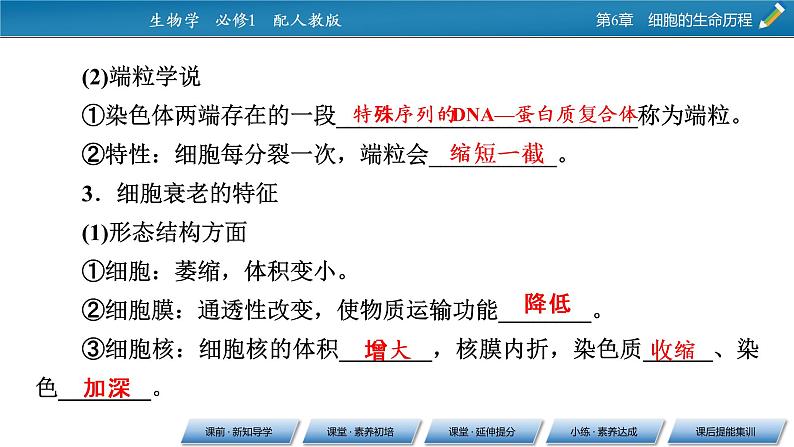第6章 3同步课件第6页