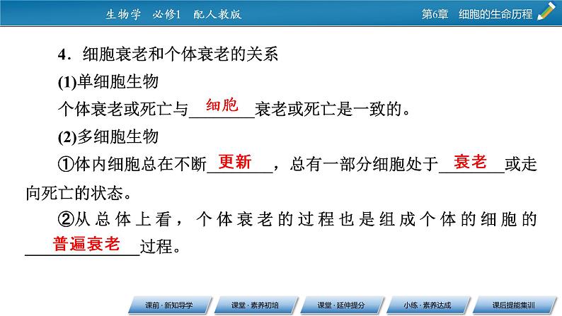 第6章 3同步课件第8页