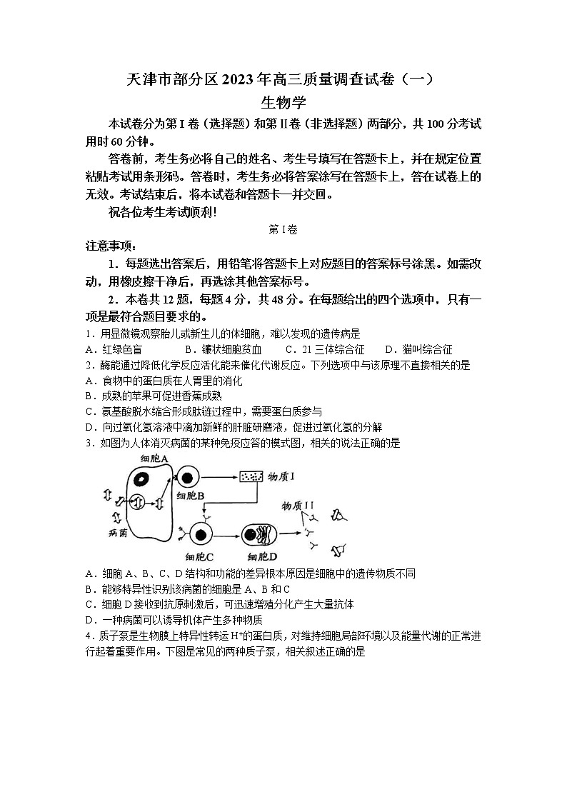 天津市部分区2022-2023学年高三下学期质量调查(一)(一模)生物试题 Word版含答案01