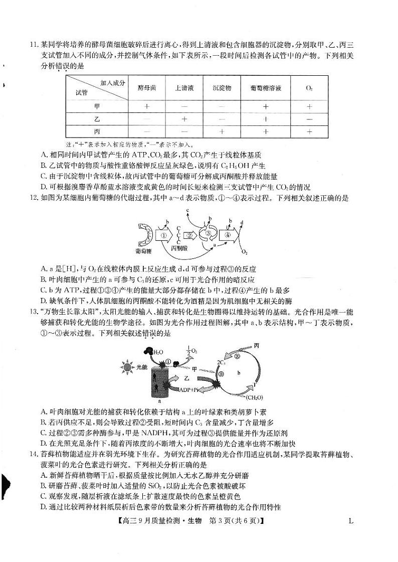 生物第2页