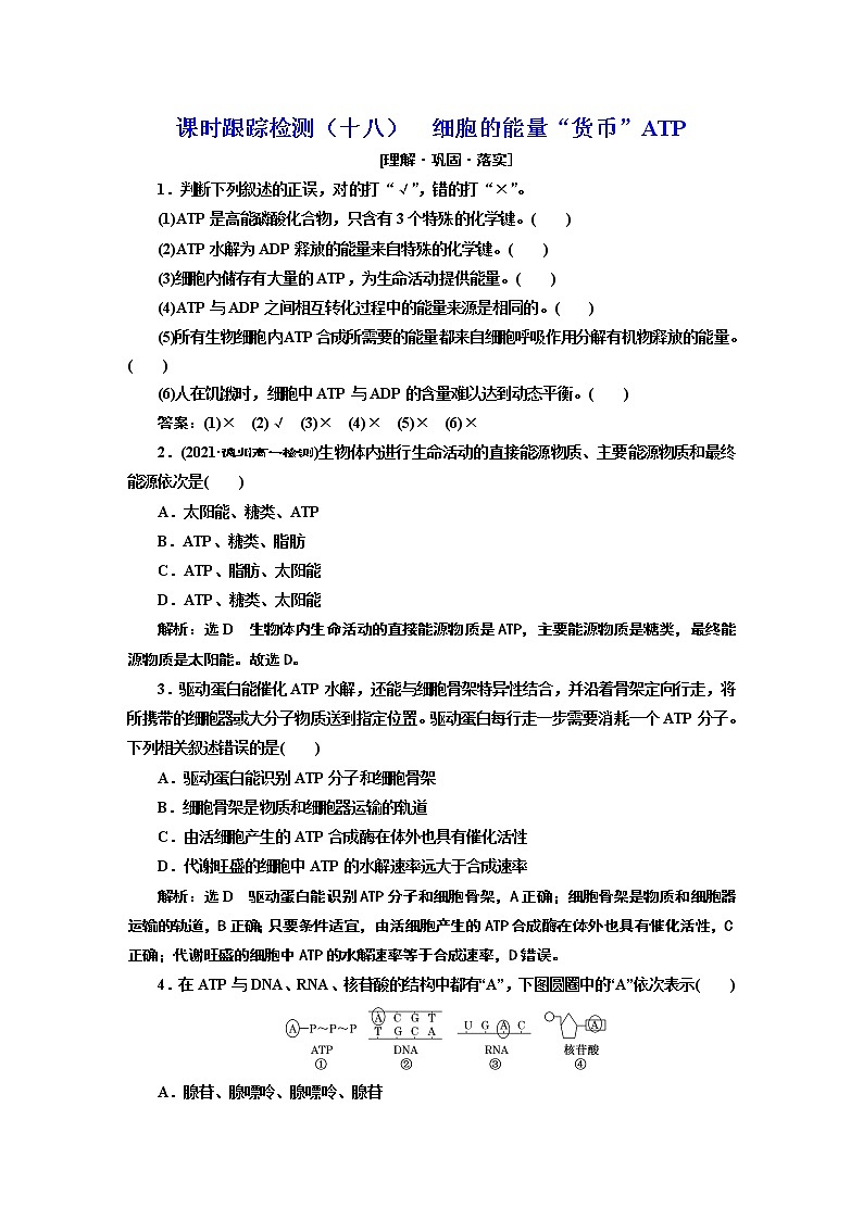 课时跟踪检测(十八) 细胞的能量“货币”ATP01