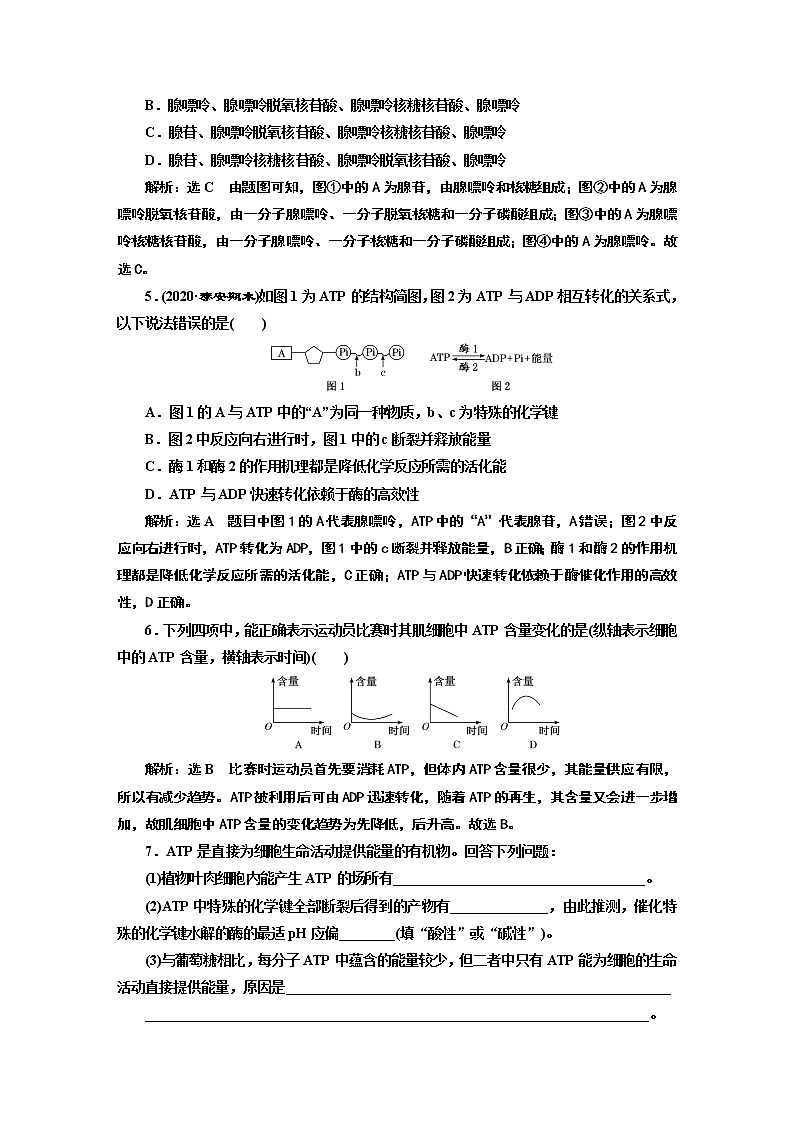 课时跟踪检测(十八) 细胞的能量“货币”ATP02