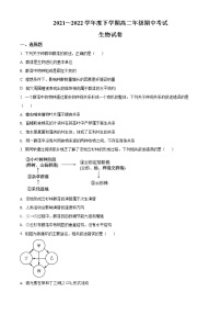 精品解析：广东省深圳市光明区高级中学2021-2022学年高二下学期期中生物试题