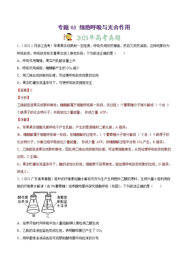 高中生物高考专题03 细胞呼吸与光合作用-2021年高考真题和模拟题生物分项汇编(解析版)第1页