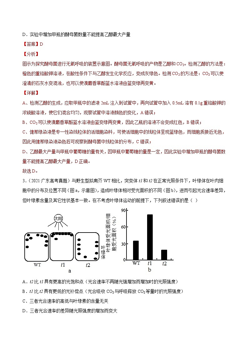 高中生物高考专题03 细胞呼吸与光合作用-2021年高考真题和模拟题生物分项汇编(解析版)第2页