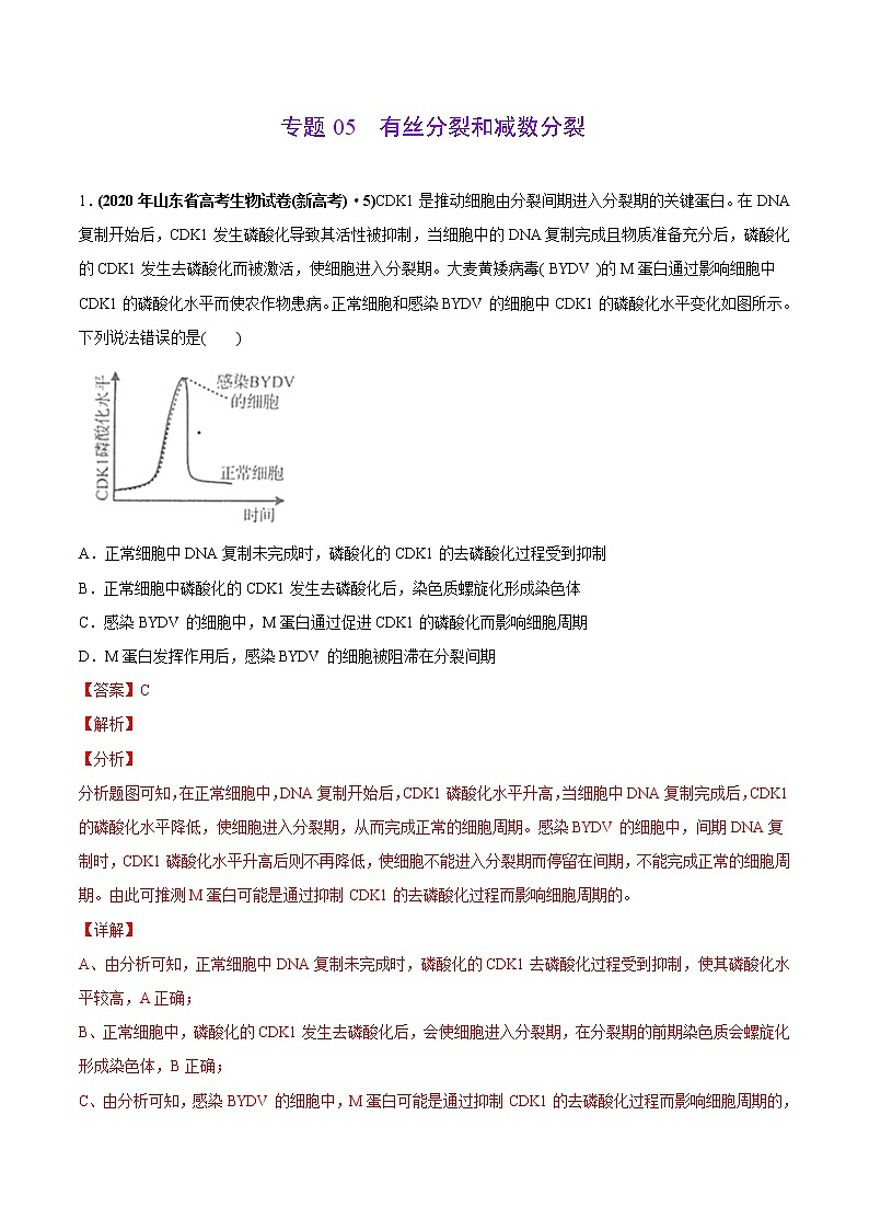 高中生物高考专题05 有丝分裂和减数分裂-2020年高考真题和模拟题生物分项汇编(教师版含解析)第1页