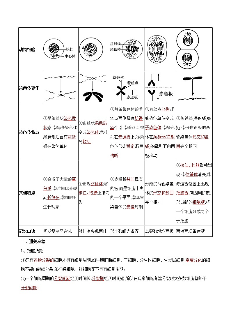 高中生物高考专题06 细胞的生命历程(含减数分裂)-备战2021年高考生物专题提分攻略(解析版)第2页