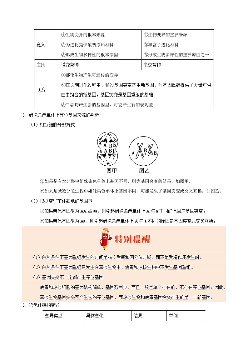 高中生物高考专题07 生物的变异与进化-备战2019年高考生物之纠错笔记系列(原卷版)第3页