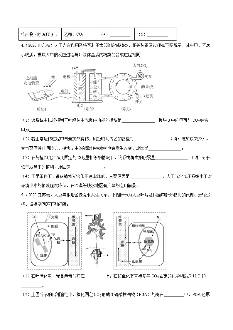 高中生物高考专题14 光合作用与呼吸作用综合-十年(2011-2020)高考真题生物分项详解(原卷版)第2页