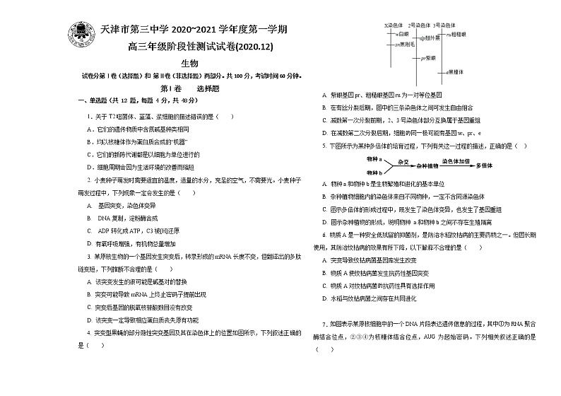 2021天津市三中高三上学期12月月考生物试题含答案、答题纸第1页
