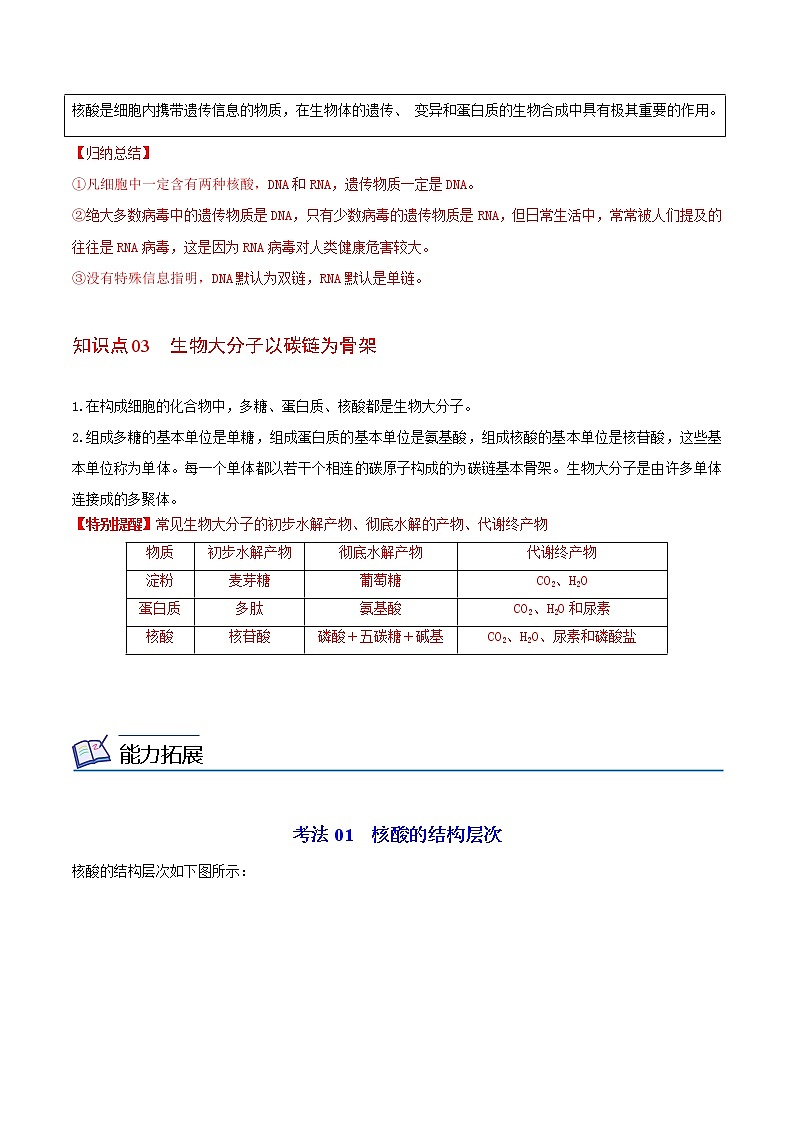 2.5 核酸是遗传信息的携带者(教师版)-高一生物同步精品讲义(人教2019必修1)02