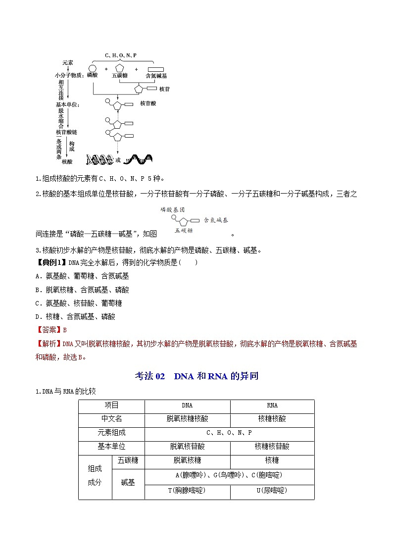 2.5 核酸是遗传信息的携带者(教师版)-高一生物同步精品讲义(人教2019必修1)03