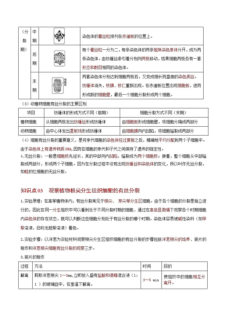 6.1 细胞的增殖(教师版)-高一生物同步精品讲义(人教2019必修1)第2页