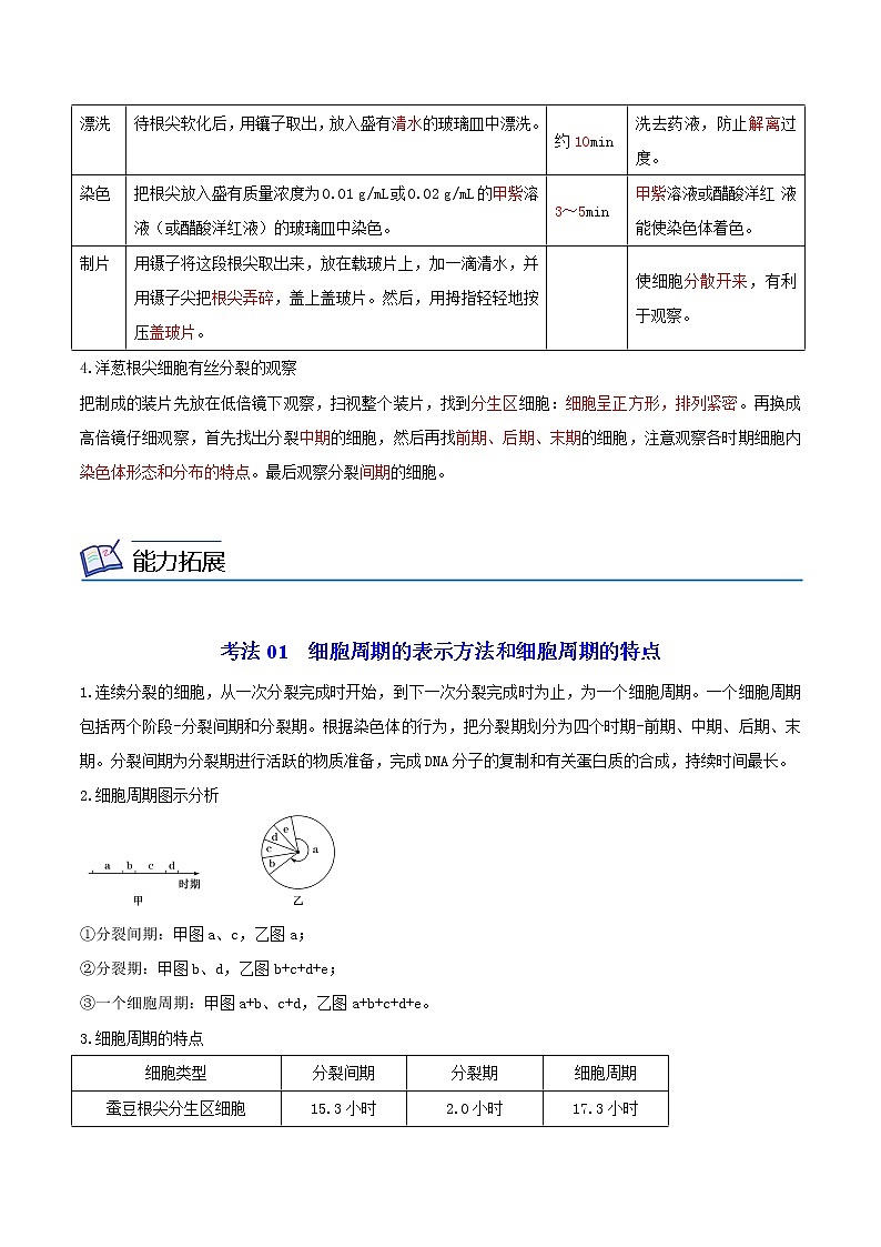 6.1 细胞的增殖(教师版)-高一生物同步精品讲义(人教2019必修1)第3页