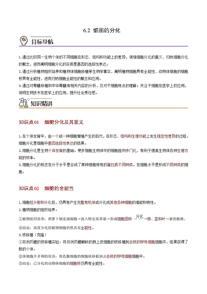 6.2 细胞的分化(教师版)-高一生物同步精品讲义(人教2019必修1)第1页
