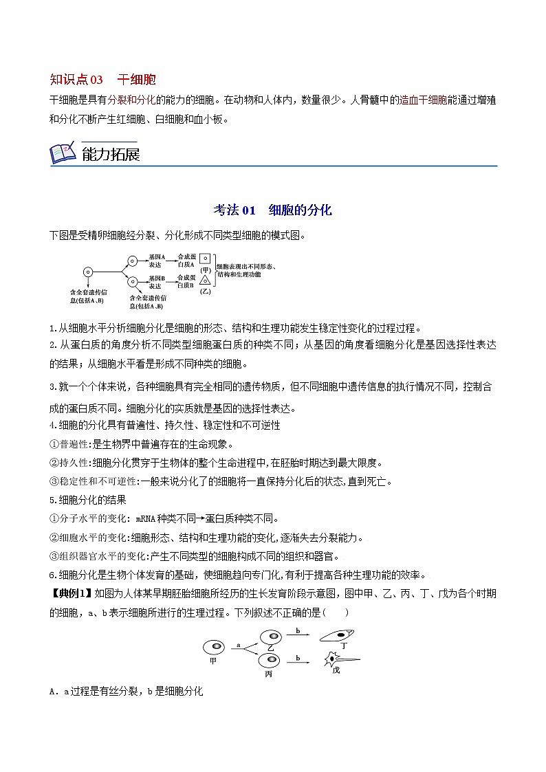 6.2 细胞的分化(教师版)-高一生物同步精品讲义(人教2019必修1)第2页