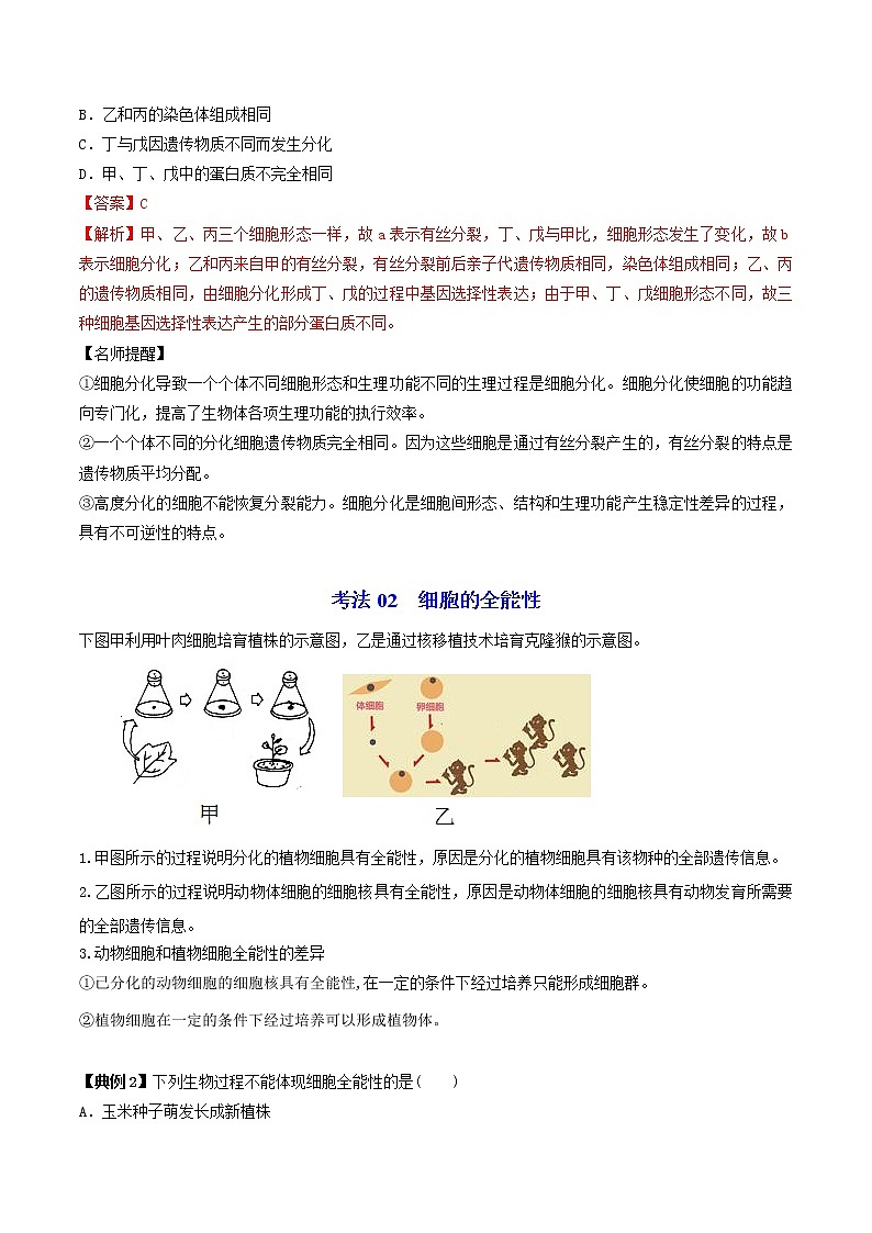 6.2 细胞的分化(教师版)-高一生物同步精品讲义(人教2019必修1)第3页