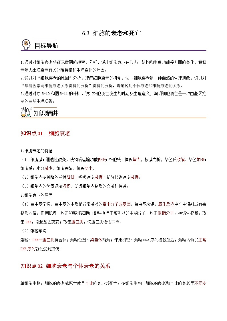 6.3 细胞的衰老和死亡(教师版)-高一生物同步精品讲义(人教2019必修1)第1页