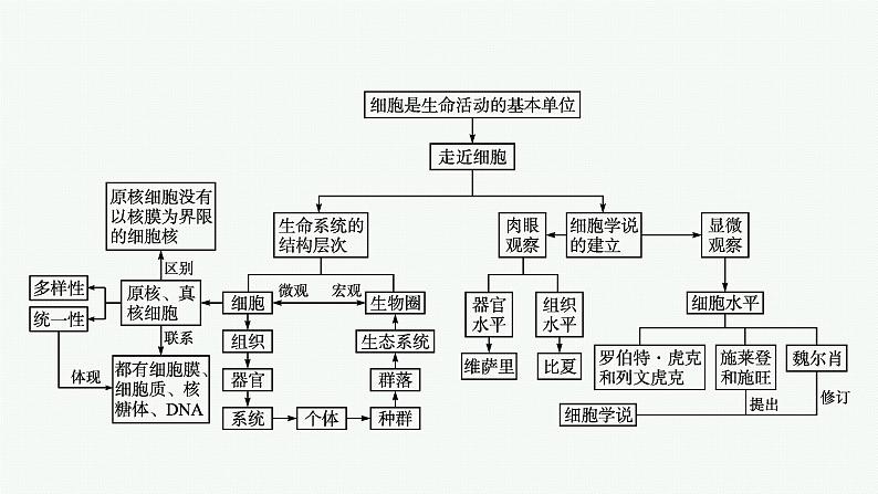 第1章 走近细胞 章末整合课件PPT04
