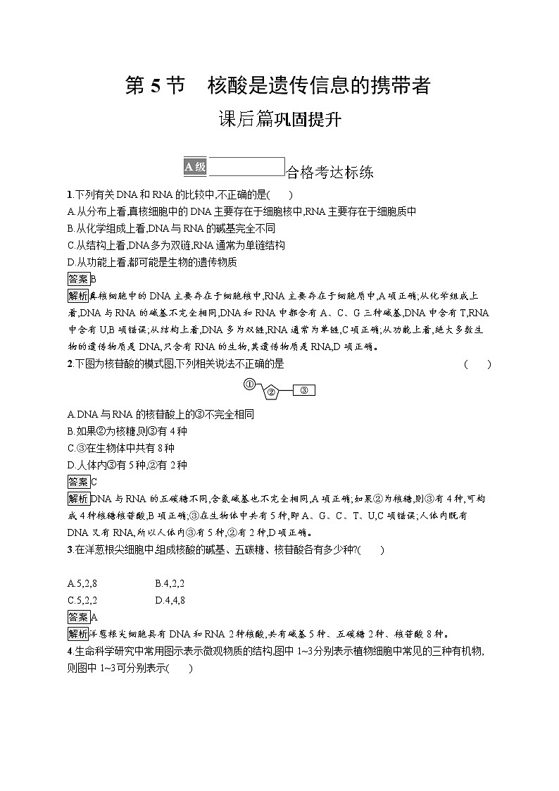 第2章 组成细胞的分子 第5节 核酸是遗传信息的携带者 试卷01
