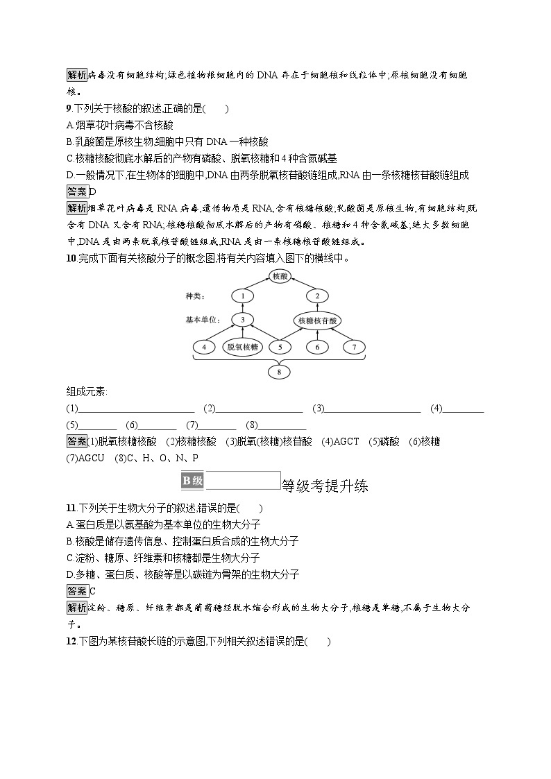 第2章　组成细胞的分子 第5节　核酸是遗传信息的携带者 试卷03