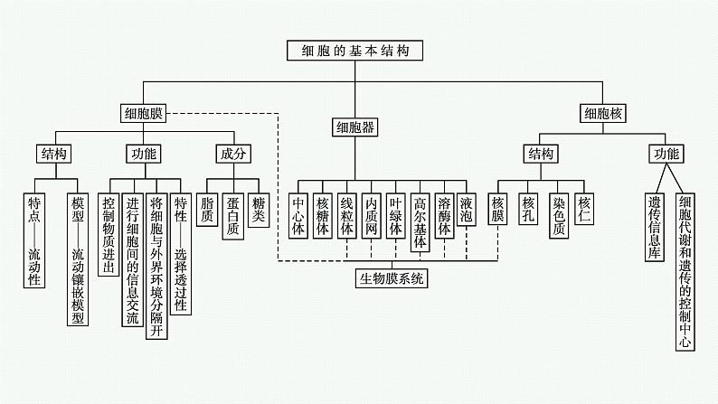 第3章 细胞的基本结构 章末整合课件PPT04