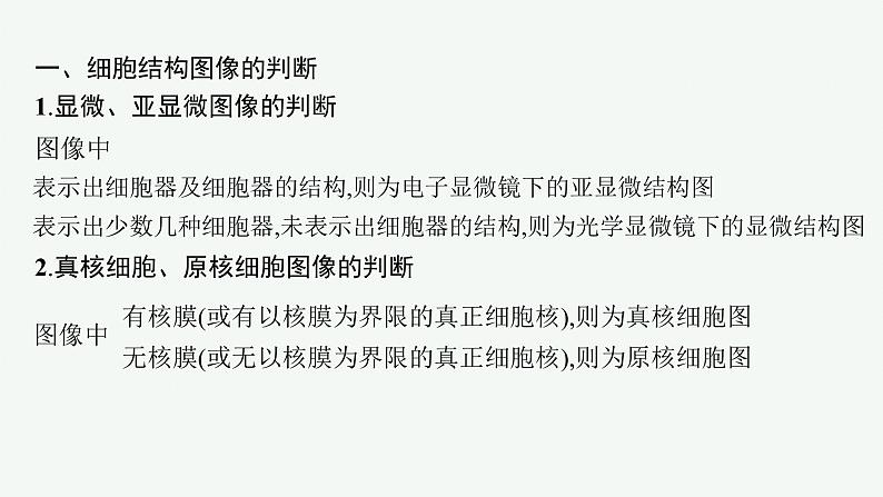 第3章 细胞的基本结构 章末整合课件PPT06