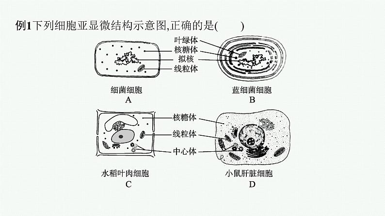 第3章 细胞的基本结构 章末整合课件PPT08