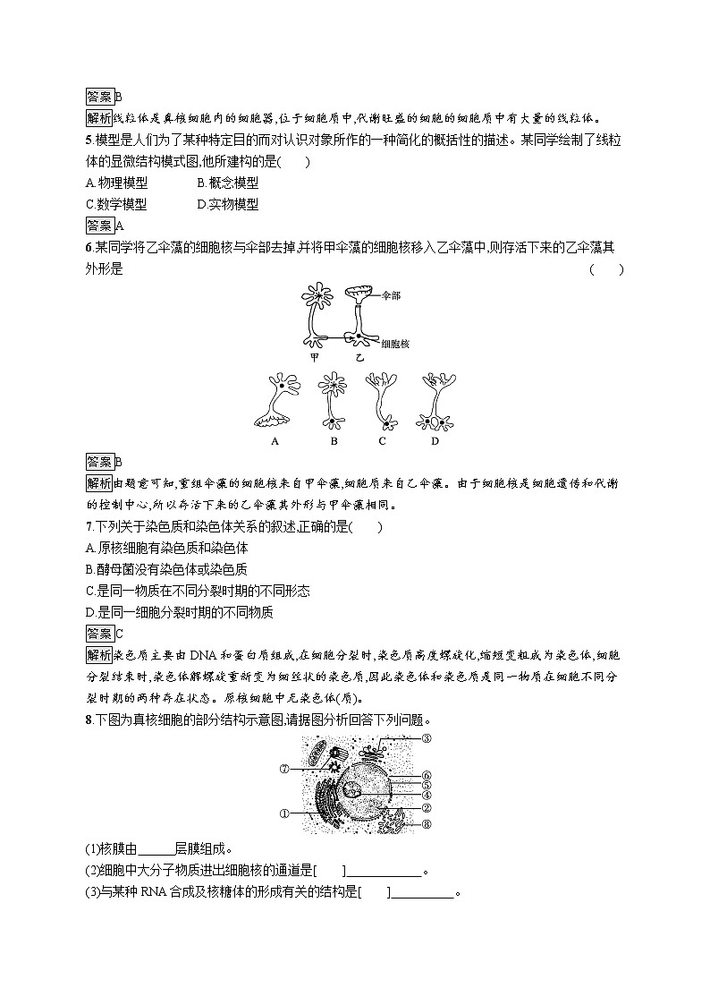 第3章 细胞的基本结构 第3节 细胞核的结构和功能 试卷02